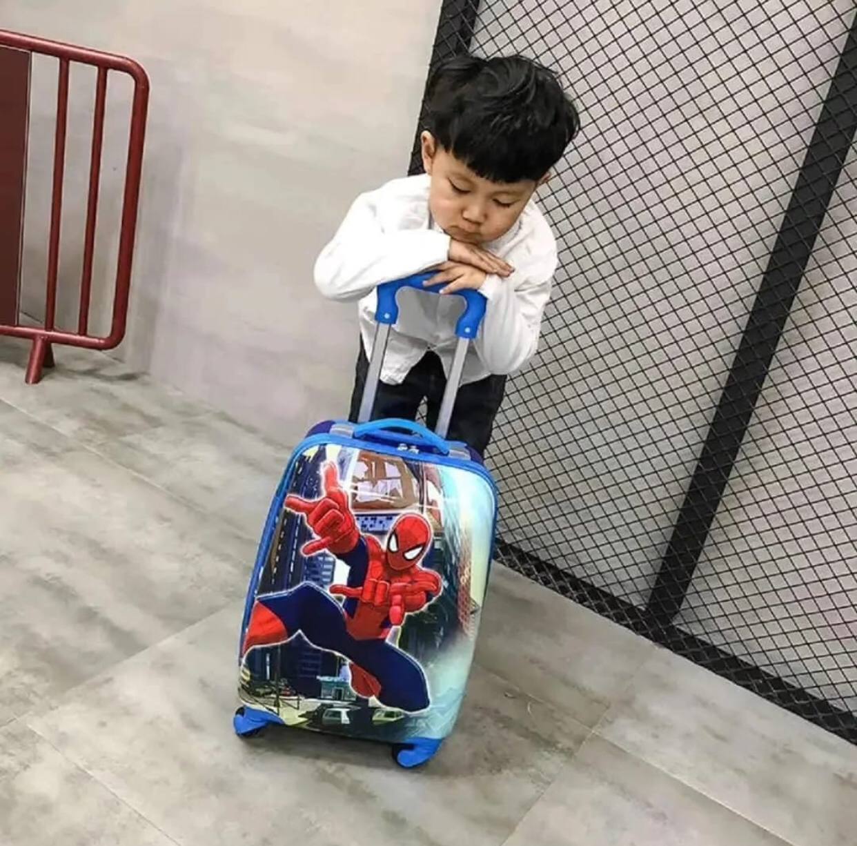 Cartoon themed kids trolley bags
