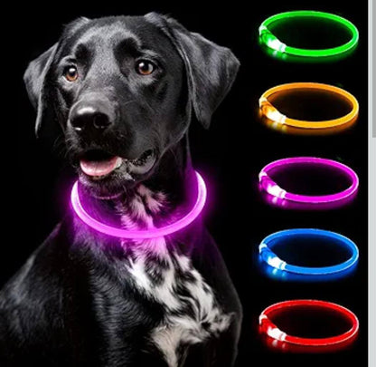 Rechargeable Light Up Pets Collars