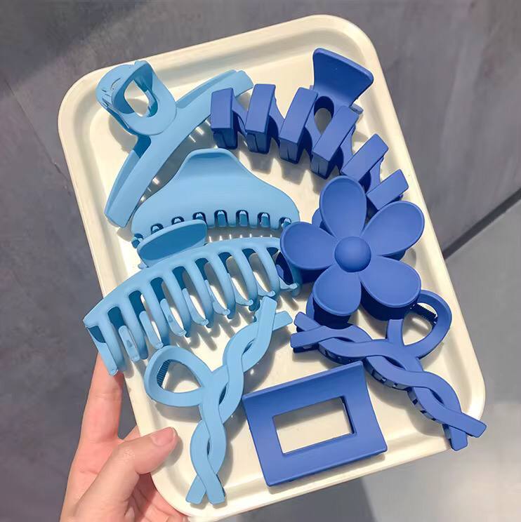 Ladies Hair  clips/Accessories.