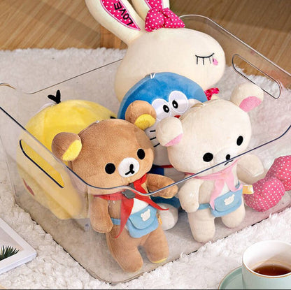 Transparent Storage Box